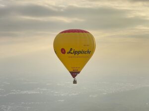 D-OMET Lippische Landesbrand